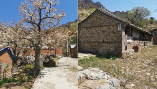 k8.com集团受邀前往北京市平谷区核桃洼村就乡村振兴合作项目进行实地考察