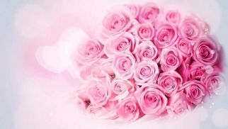 k8.com祝全体女同事节日快乐